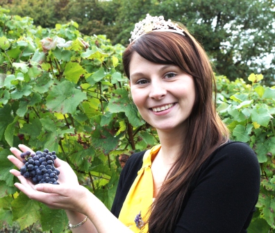 Trauben in Assmanshausen