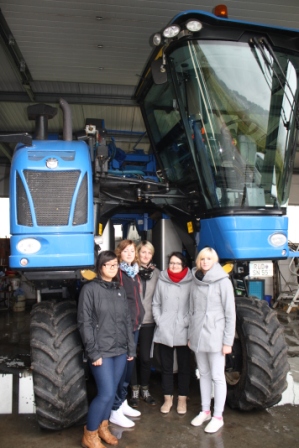 Volltraubenernter - riesig